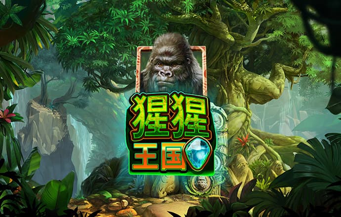 2o24澳门正版精准资料